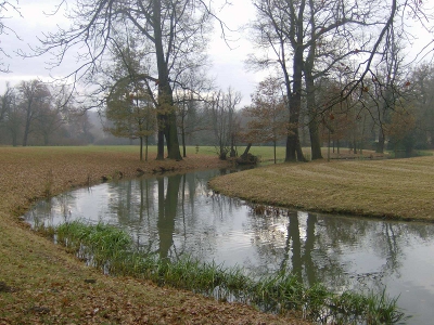 Farbfoto: Der von dem Fürsten Hermann Ludwig Heinrich von Pückler-Muskau angelgte Park im November des Jahres 2011. Fotograf: Ralph Ivert.