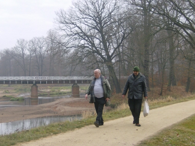 Farbfoto: In dem Fürst-Pückler-Park in Bad Muskau im November 2011. Fotograf: Ralph Ivert.