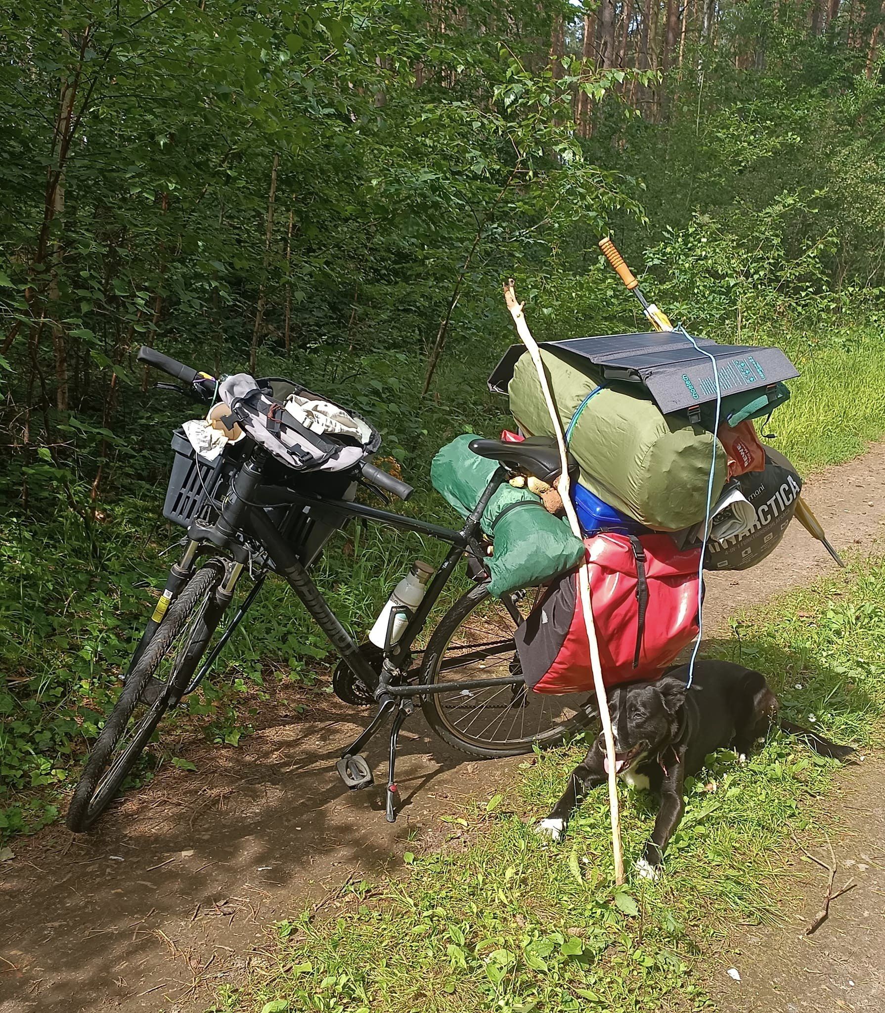 Farbfoto: Ein Fahrrad mit Sonnenkraftwerk in Brandenburg. Juni 2024. Foto: Ralf Splettstoesser.