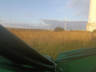 Windkraftwerke in Brandenburg. Sommer 2024. Farbfoto: Ralf Splettsößer.