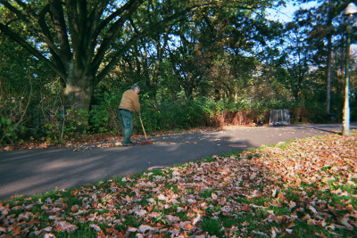 Farbfoto: Mein Kollege Bernd Partenheimer im Oktober des Jahres 2014 im Park Thomashöhe im Bezirk Neukölln in Berlin. Foto: Erwin Thomasius.