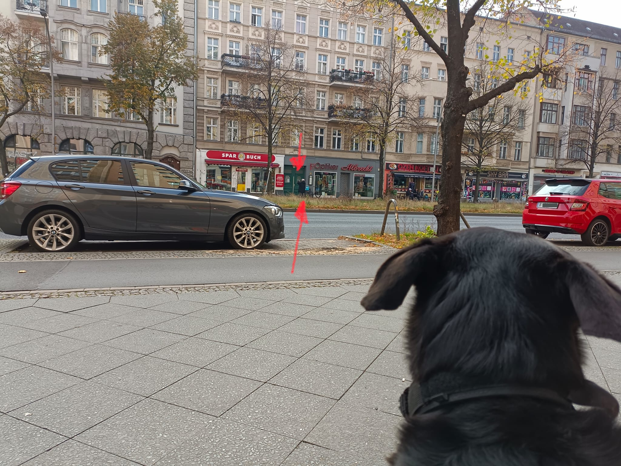 Farbfoto von einem Hund, einem alten Mann, und einem Geschäft für gebrauchte Bücher in der Frankfurter Allee in Friedrichshain. Im Oktober 2024. Fotograf: Ralf Splettstößer.